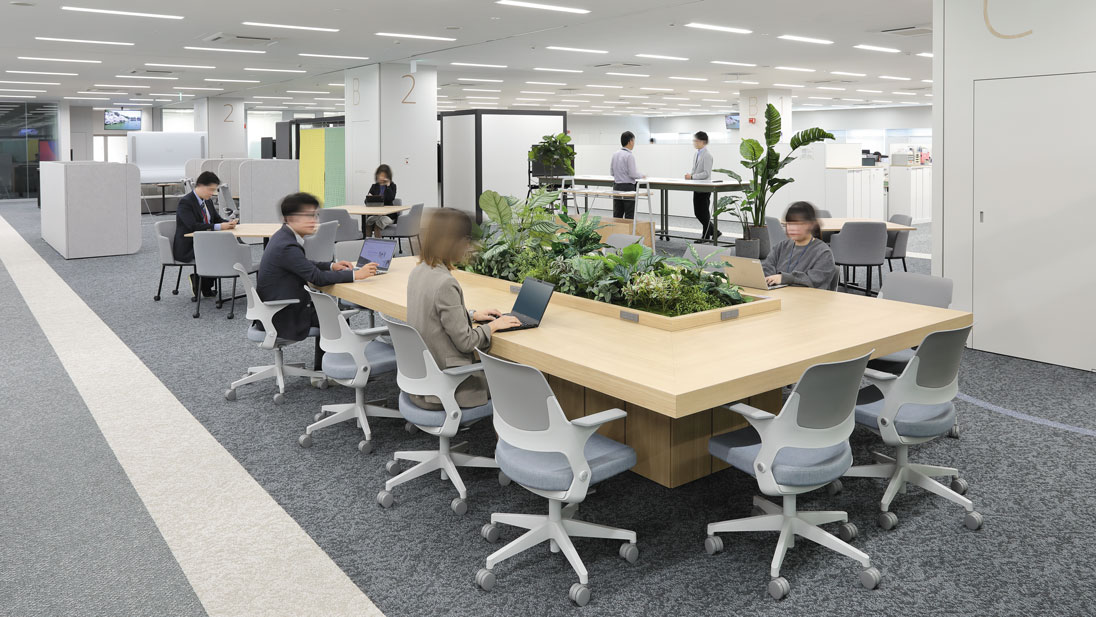 コラボレーションエリア