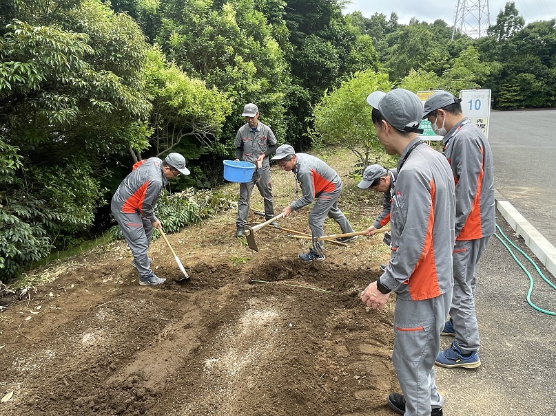 空き地を整備しています