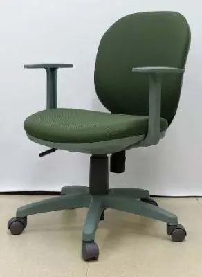 カラー調整中のgunnii green カラー調整中のgunnii green