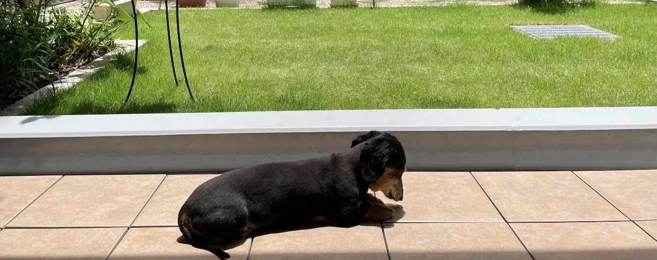 在宅ワークのマンネリ感、解決するのは「移動」だった！