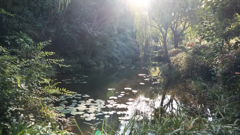 地中の庭 地中の庭