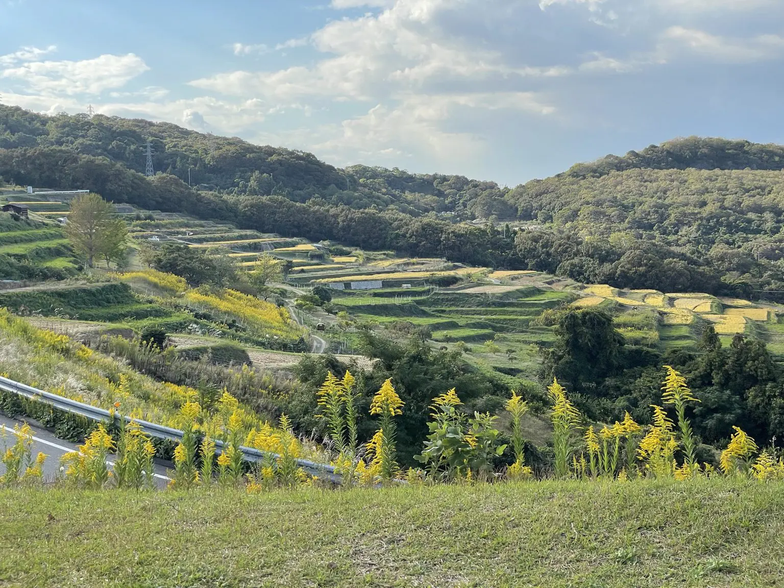 青空のもと広がる棚田 青空のもと広がる棚田