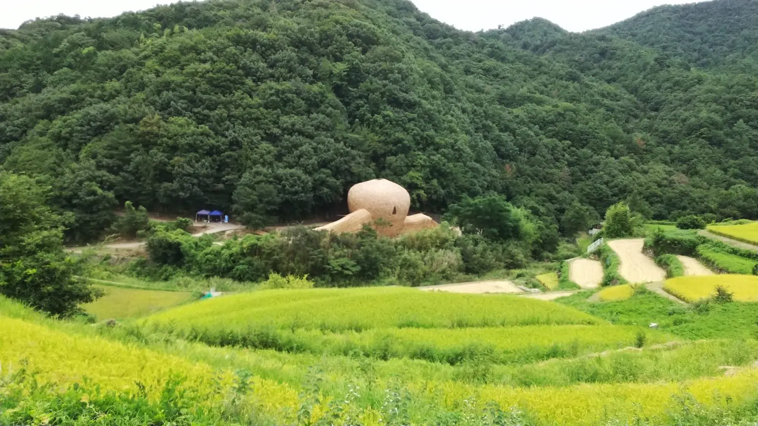 ゼロ/ワン・ウェンチーさんの作品 ゼロ/ワン・ウェンチーさんの作品