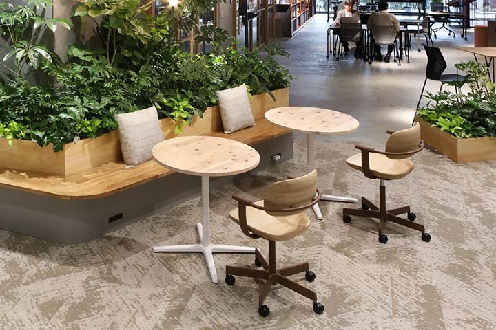 Econifa(エコニファ)