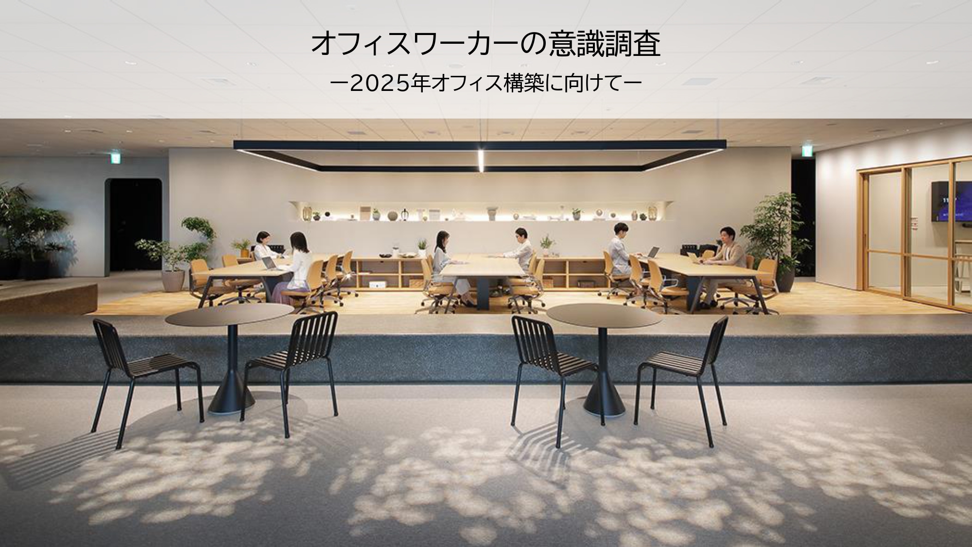 画像の説明テキストを入れてください